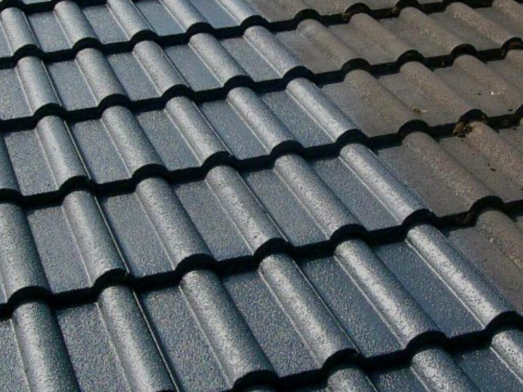 Dachreinigung Schritt 1 – gruendliche Vorbereitung des Daches